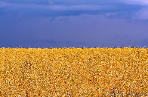 Александр ---------------