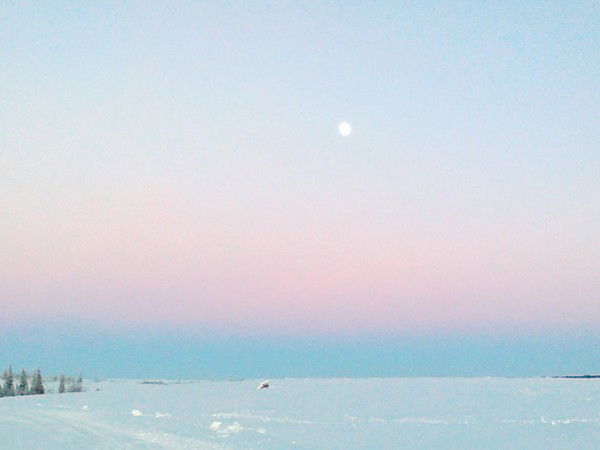 Альбина Фатхутдинова