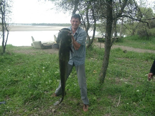 Родная Природа