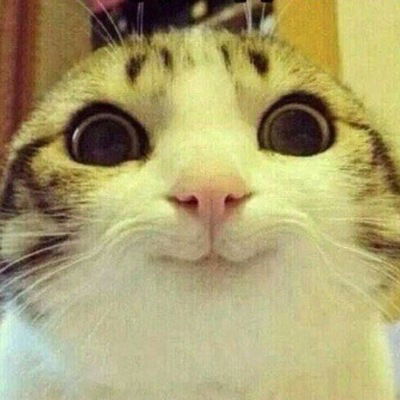 Михаил Усов