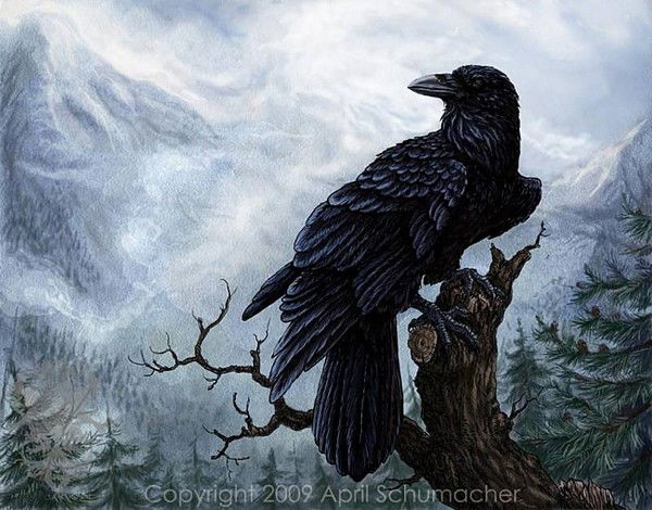 Илья Вороновский