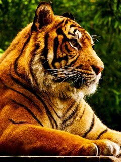 Сергей Дроздов