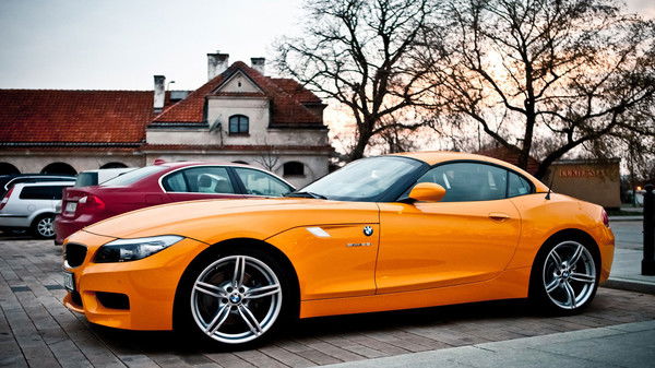 Александр Швецов