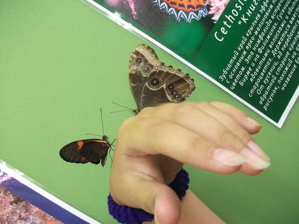 Нонна Зайцева