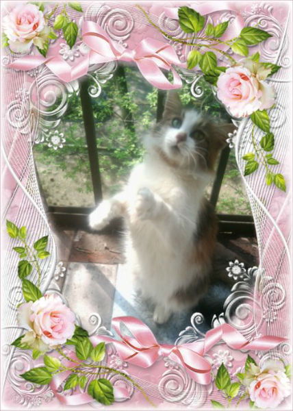 Сергей *ххх*