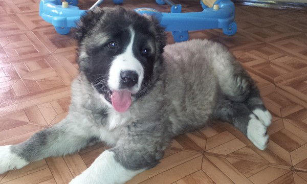 Сергей Васильевич