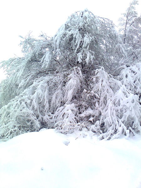 Татьяна Поскребышева