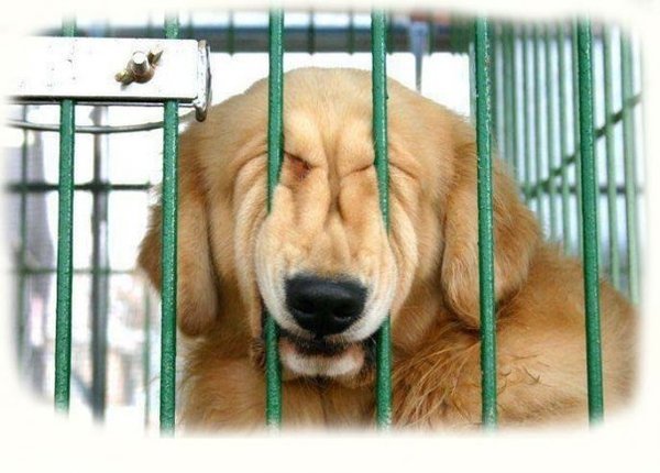 Наталья Швалова