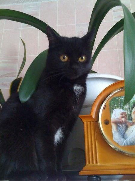 Надежда Ильина