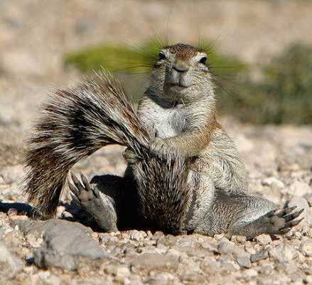 Евгения Селицкая