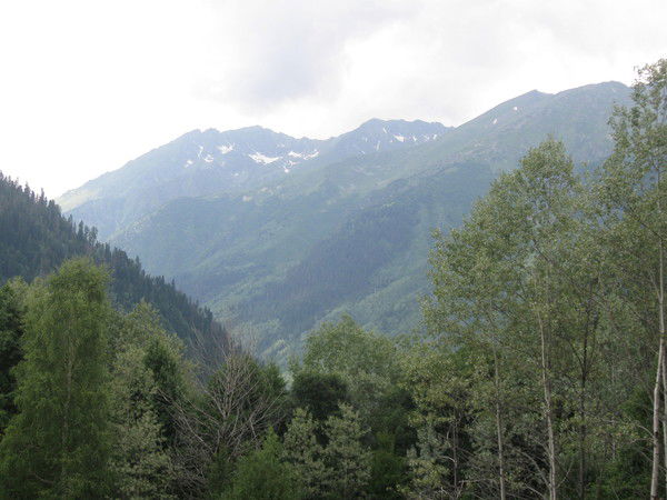 Лизуничка Литвин