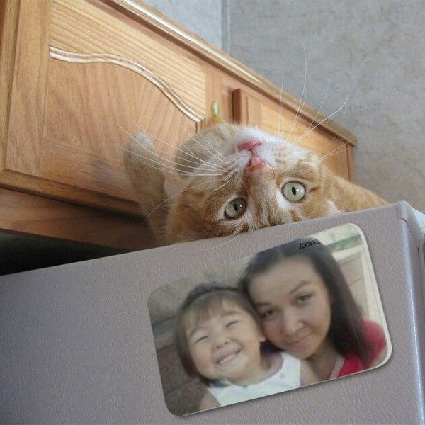 Мако Койчибаева