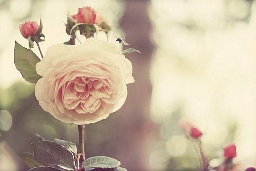 Алия Фаизова