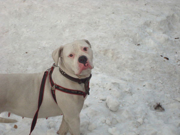 Темирлан Бегалинов