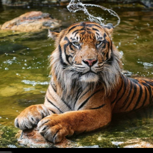 Марина Ткацкая