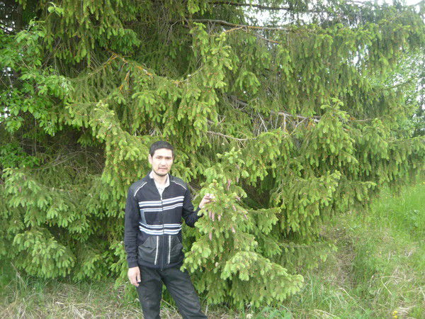 Олимжон Холиков