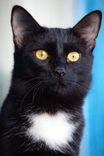 Сергей Думков