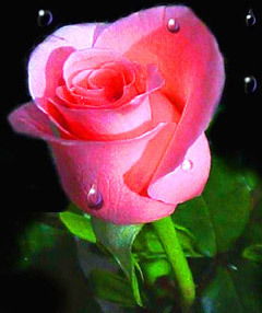 Тамара Симонова