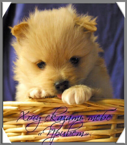 Маржан Изтилеуова