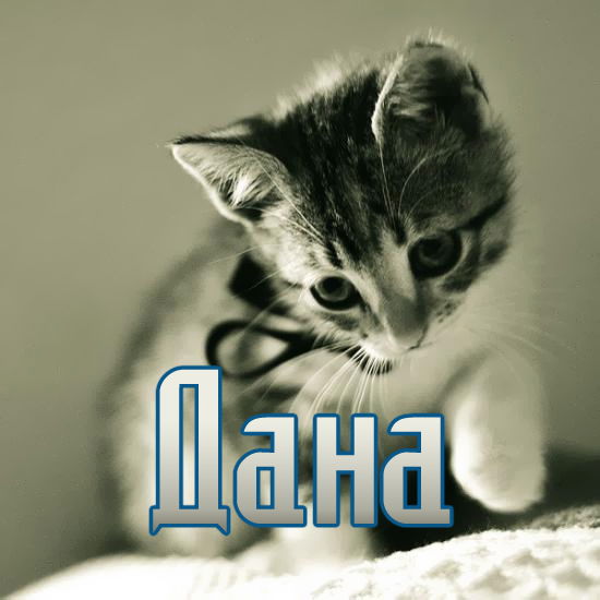 Дана Халыкова