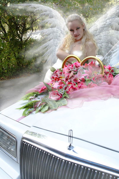 Татьяна Величковская