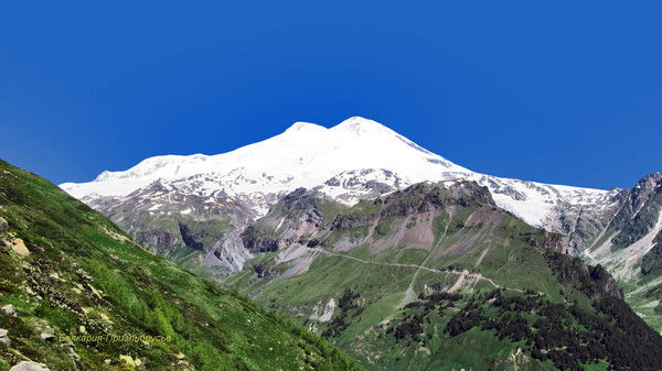 Ивасенко Елена