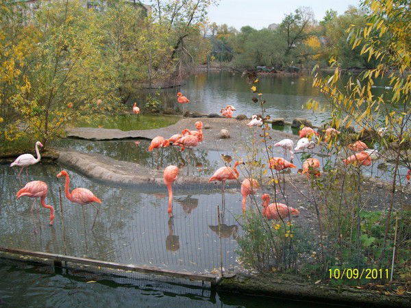 Анна Кортушова