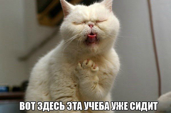 Настя Мурзина