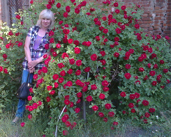 Вера Гаркавенко