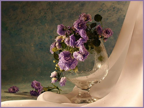 Анечка Чебакова