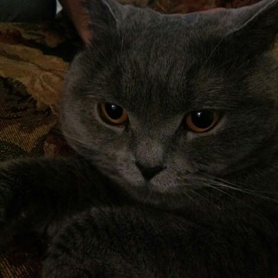 Дамир Жумабаев-Номер