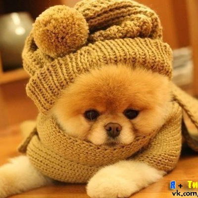 Віта Ковбасюк