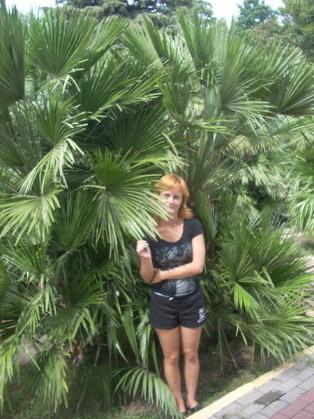 Светлана Потапова