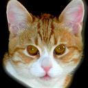 Рыжик Котов
