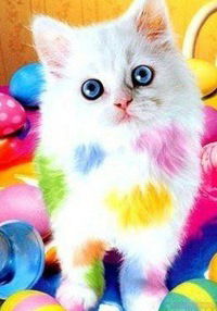 Таня Румянцева