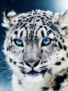 Наталья Баруткина