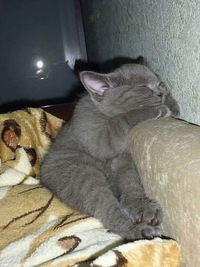 Вячеслав Борисенко