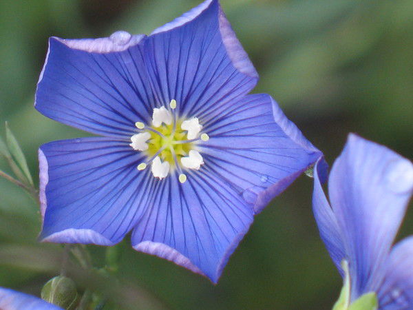 Марина Кучкина