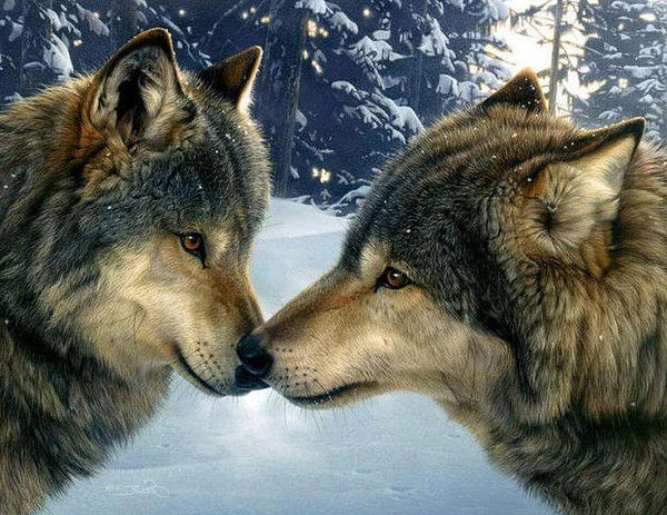 Полина Ананьева