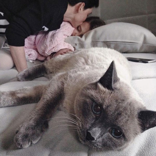 Евгений Шаламов