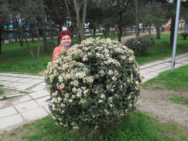 Любовь Ваганова