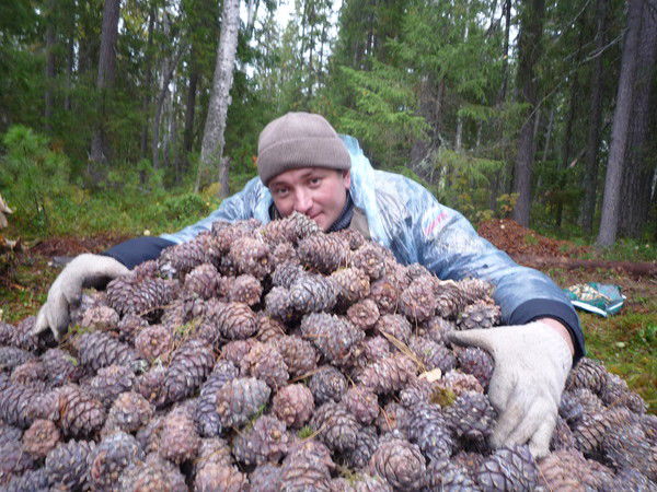 Алексей Зернов