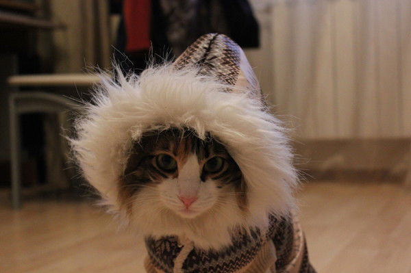 Каракин Олег