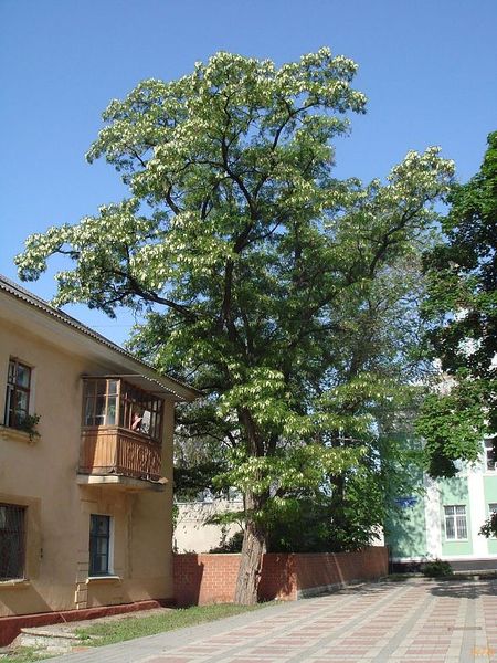 Андрей Никитин