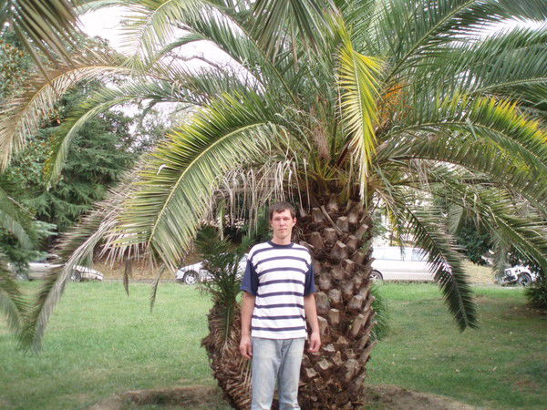 Макс Фадеев