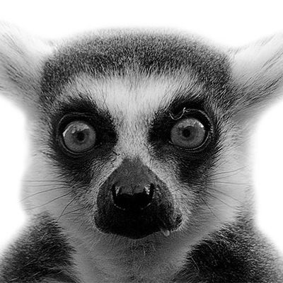 Алёна Воробьёва