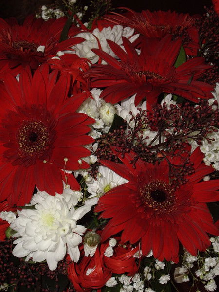 Вероника Масленникова