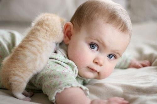 Анара Берикова