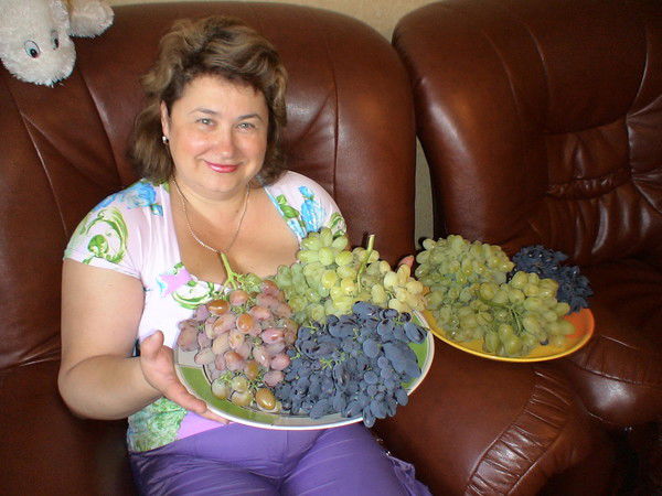 Елена Лысечко