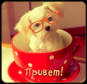 Арина Сергеева